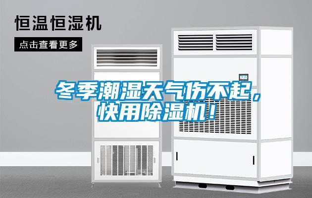 冬季潮濕天氣傷不起，快用除濕機！