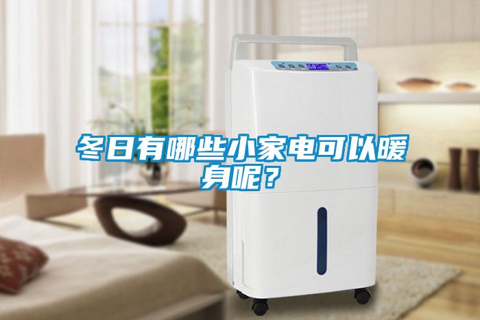 冬日有哪些小家電可以暖身呢？