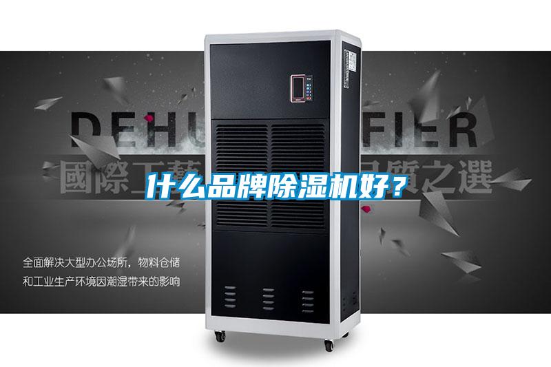 什么品牌除濕機(jī)好？