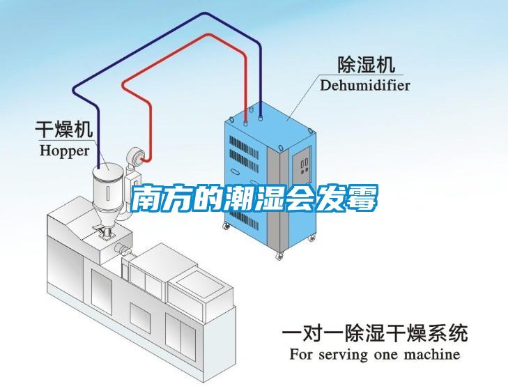 南方的潮濕會發(fā)霉