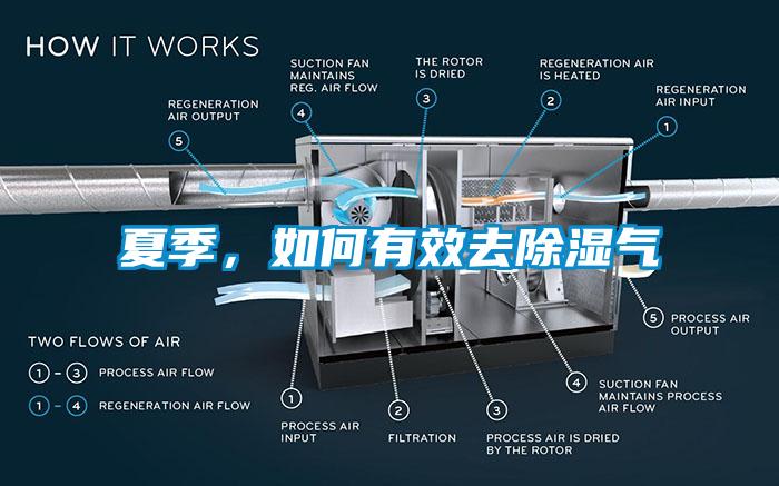 夏季，如何有效去除濕氣