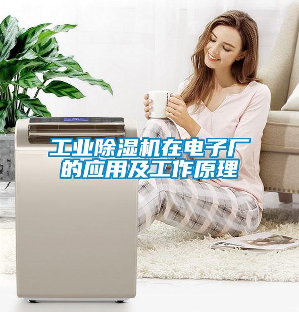 工業(yè)除濕機(jī)在電子廠的應(yīng)用及工作原理