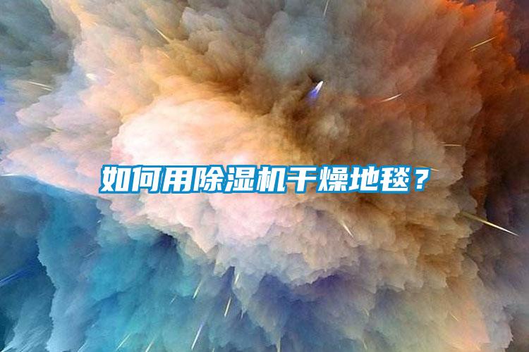 如何用除濕機干燥地毯？