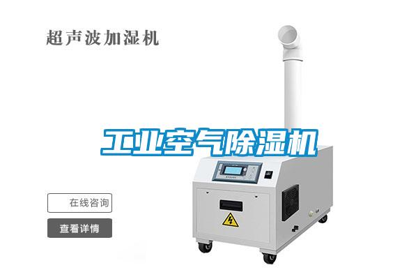 工業(yè)空氣除濕機(jī)