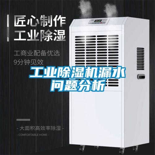 工業(yè)除濕機(jī)漏水問(wèn)題分析