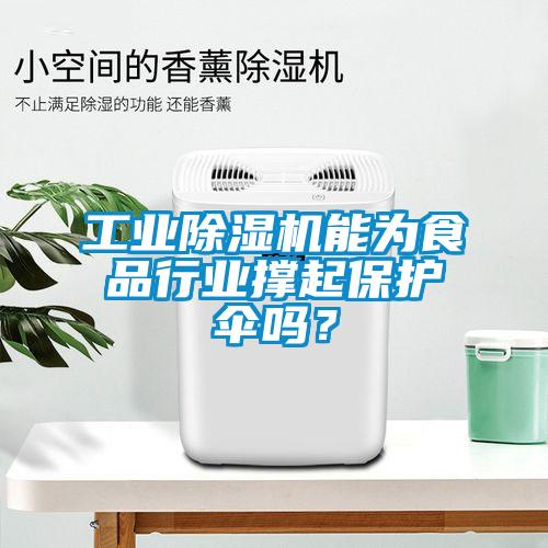 工業(yè)除濕機(jī)能為食品行業(yè)撐起保護(hù)傘嗎？