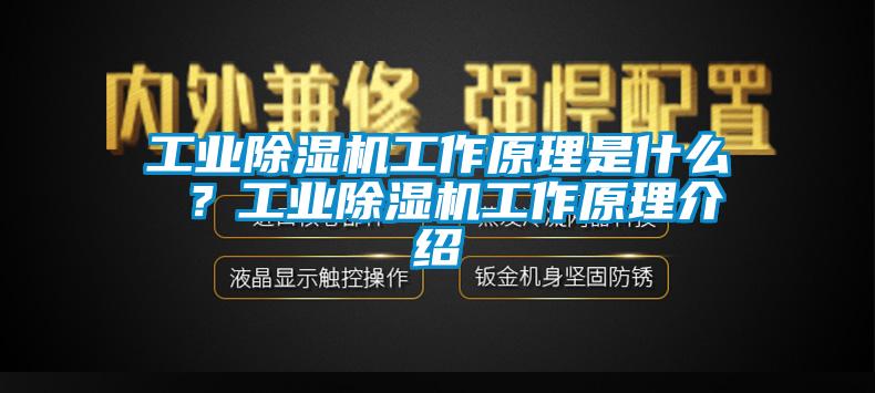 工業(yè)除濕機工作原理是什么 ？工業(yè)除濕機工作原理介紹