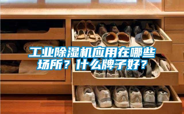 工業(yè)除濕機應用在哪些場所？什么牌子好？