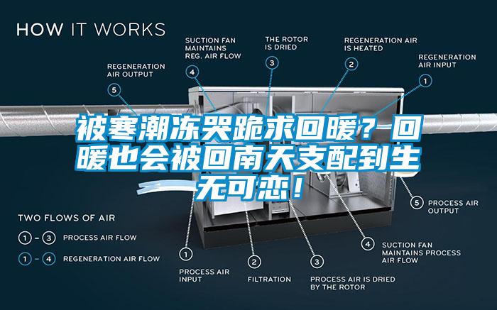 被寒潮凍哭跪求回暖？回暖也會被回南天支配到生無可戀！