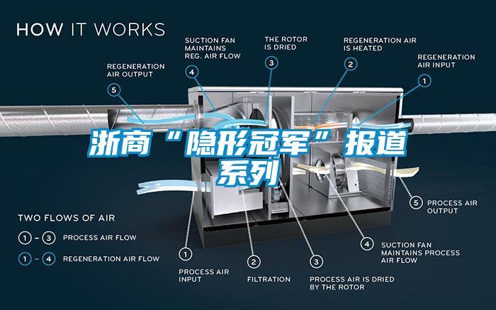 浙商“隱形冠軍”報道系列