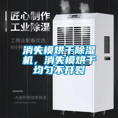 消失模烘干除濕機，消失模烘干均勻不開裂