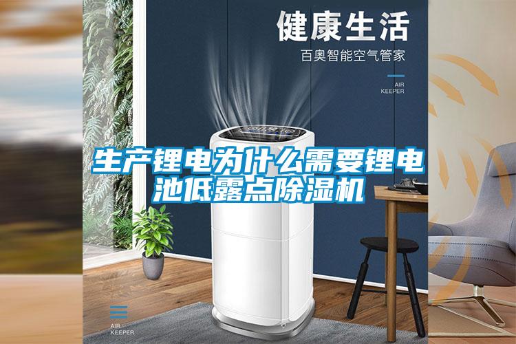 生產(chǎn)鋰電為什么需要鋰電池低露點除濕機