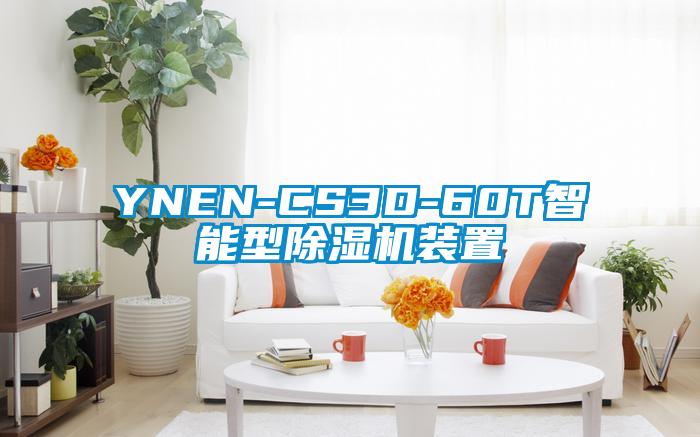 YNEN-CS3D-60T智能型除濕機(jī)裝置