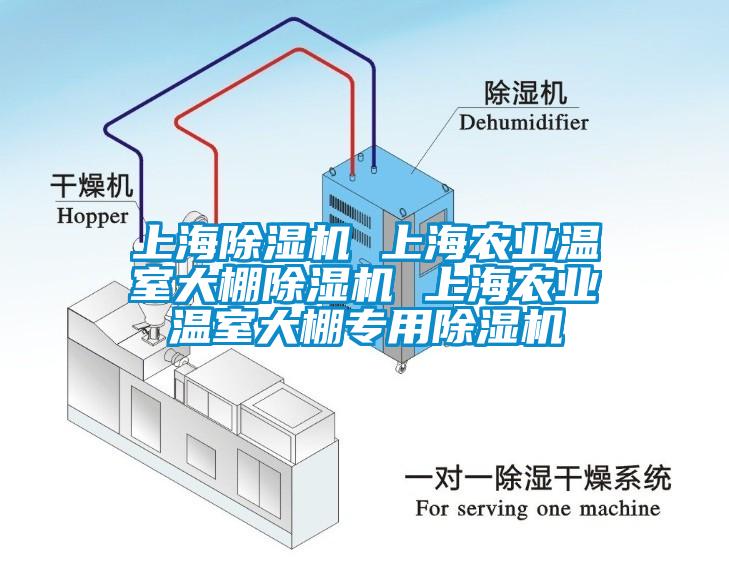 上海除濕機 上海農(nóng)業(yè)溫室大棚除濕機 上海農(nóng)業(yè)溫室大棚專用除濕機