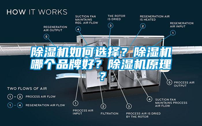 除濕機(jī)如何選擇？除濕機(jī)哪個(gè)品牌好？除濕機(jī)原理？