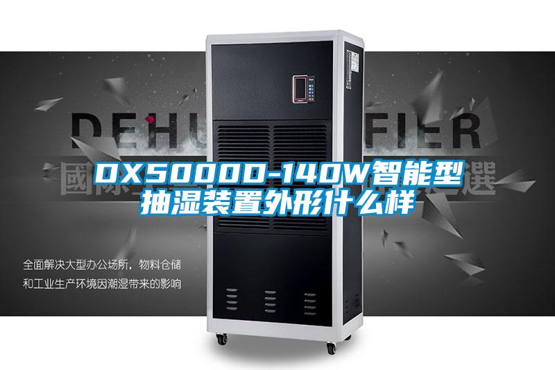 DX5000D-140W智能型抽濕裝置外形什么樣