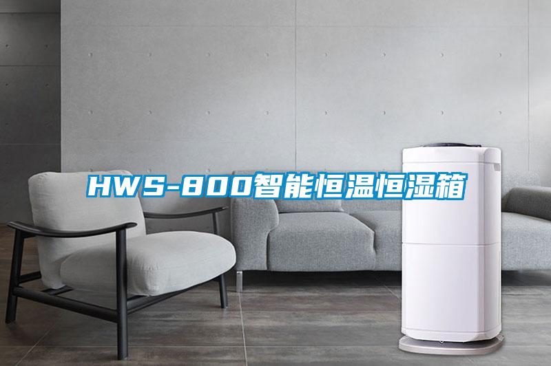 HWS-800智能恒溫恒濕箱