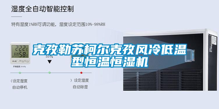 克孜勒蘇柯爾克孜風(fēng)冷低溫型恒溫恒濕機(jī)