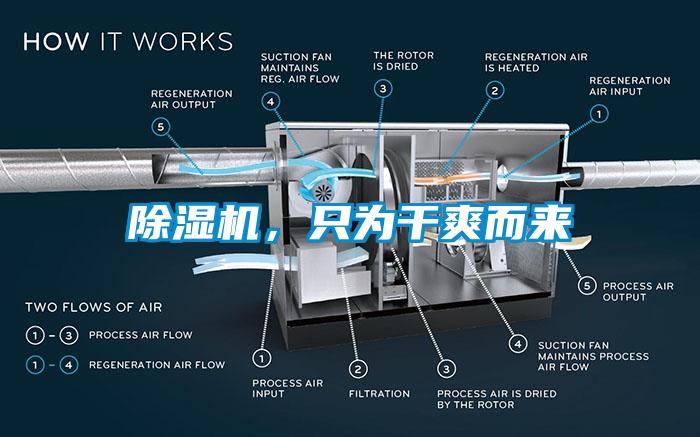 除濕機(jī)，只為干爽而來