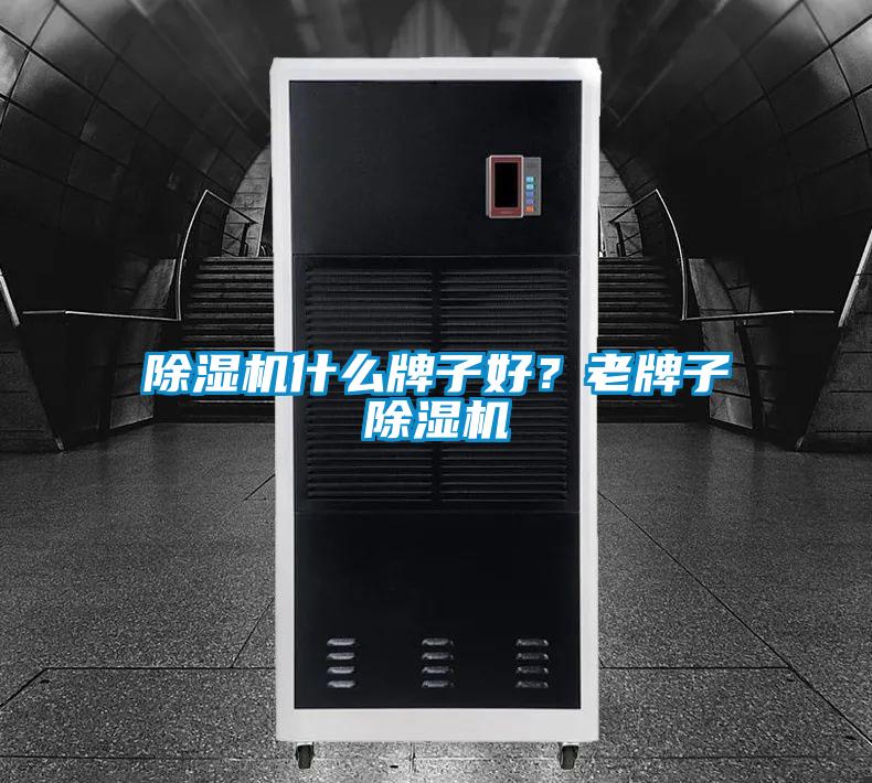 除濕機什么牌子好？老牌子除濕機