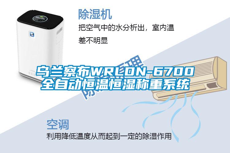 烏蘭察布WRLDN-6700全自動恒溫恒濕稱重系統(tǒng)