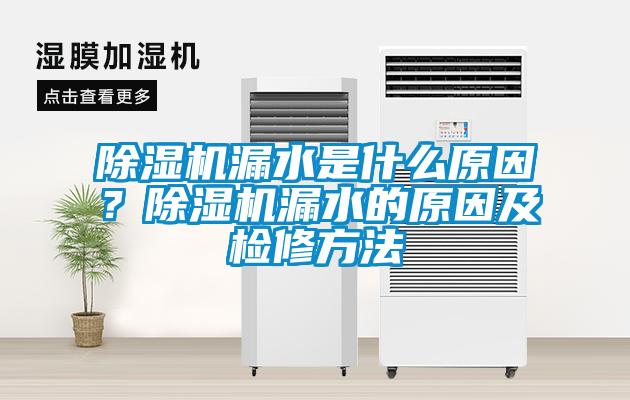 除濕機漏水是什么原因？除濕機漏水的原因及檢修方法