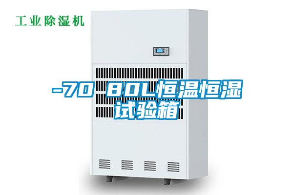 -70℃80L恒溫恒濕試驗(yàn)箱