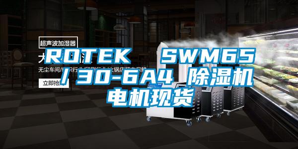 ROTEK  SWM65／30-6A4 除濕機(jī)電機(jī)現(xiàn)貨