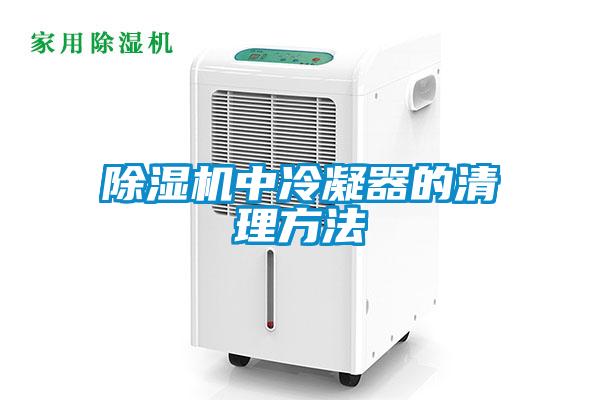 除濕機中冷凝器的清理方法