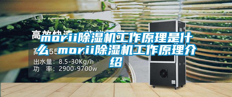 morii除濕機(jī)工作原理是什么 morii除濕機(jī)工作原理介紹