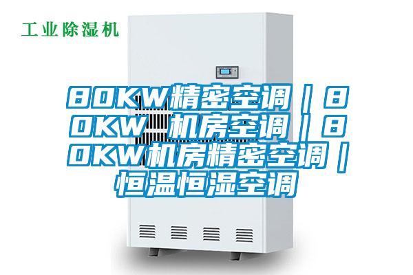 80KW精密空調(diào)｜80KW 機(jī)房空調(diào)｜80KW機(jī)房精密空調(diào)｜恒溫恒濕空調(diào)