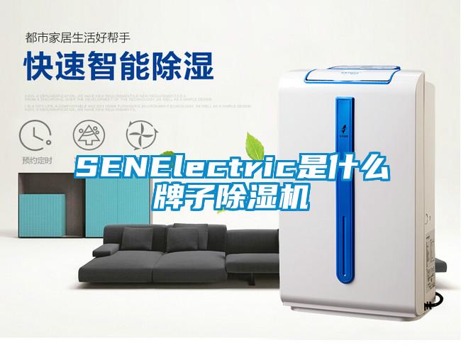 SENElectric是什么牌子除濕機