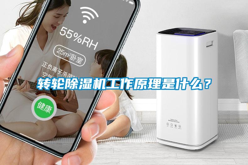 轉輪除濕機工作原理是什么？