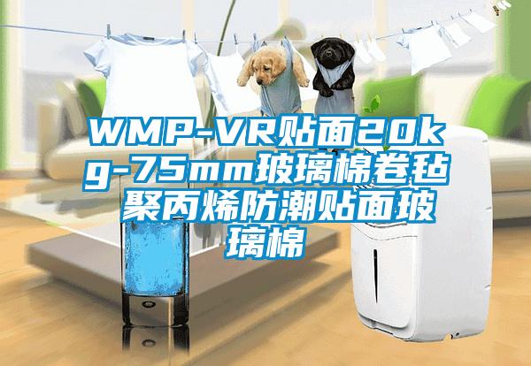 WMP-VR貼面20kg-75mm玻璃棉卷氈 聚丙烯防潮貼面玻璃棉