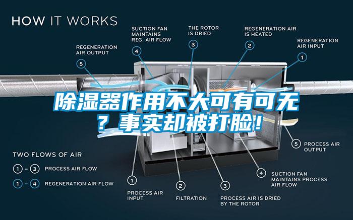 除濕器作用不大可有可無(wú)？事實(shí)卻被打臉！