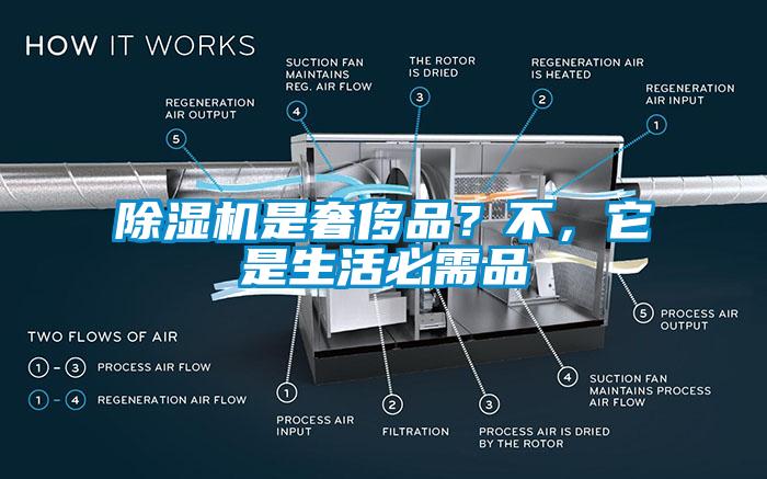 除濕機是奢侈品？不，它是生活必需品