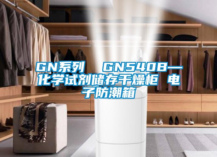 GN系列  GN540B—化學(xué)試劑儲存干燥柜 電子防潮箱