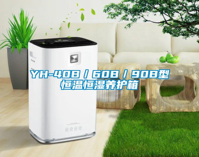 YH-40B／60B／90B型恒溫恒濕養(yǎng)護(hù)箱