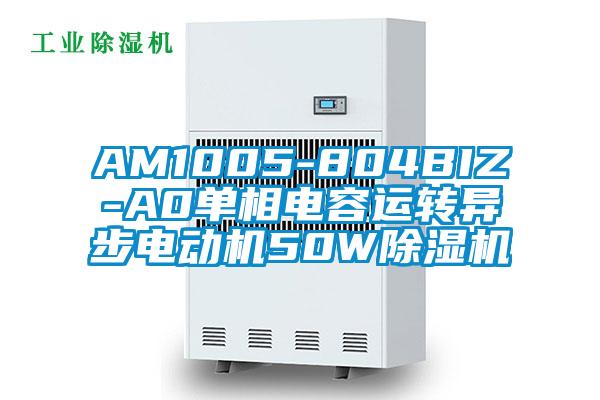 AM1005-804BIZ-A0單相電容運轉(zhuǎn)異步電動機50W除濕機