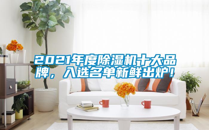 2021年度除濕機(jī)十大品牌，入選名單新鮮出爐！