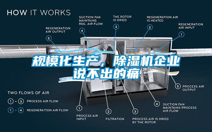 規(guī)?；a(chǎn)，除濕機(jī)企業(yè)說不出的痛