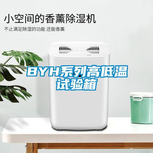 BYH系列高低溫試驗箱