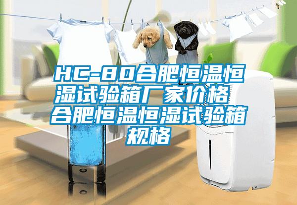 HC-80合肥恒溫恒濕試驗箱廠家價格 合肥恒溫恒濕試驗箱規(guī)格