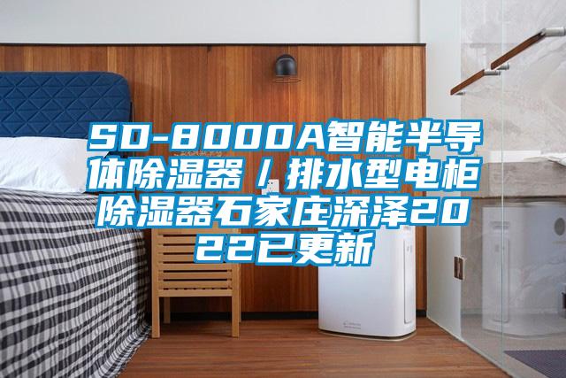 SD-8000A智能半導(dǎo)體除濕器／排水型電柜除濕器石家莊深澤2022已更新