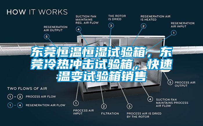 東莞恒溫恒濕試驗箱，東莞冷熱沖擊試驗箱，快速溫變試驗箱銷售