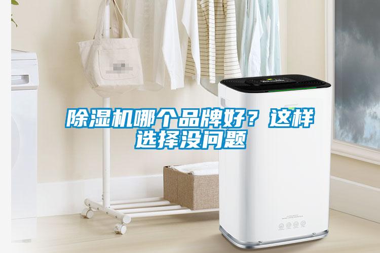 除濕機哪個品牌好？這樣選擇沒問題