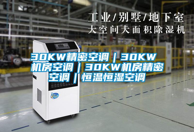 30KW精密空調(diào)｜30KW 機房空調(diào)｜30KW機房精密空調(diào)｜恒溫恒濕空調(diào)