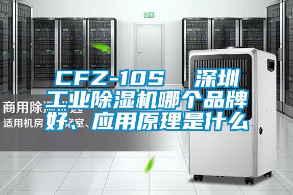 CFZ-10S  深圳工業(yè)除濕機哪個品牌好、應(yīng)用原理是什么