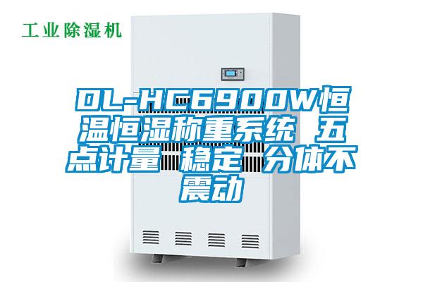 DL-HC6900W恒溫恒濕稱重系統(tǒng) 五點(diǎn)計(jì)量 穩(wěn)定 分體不震動(dòng)