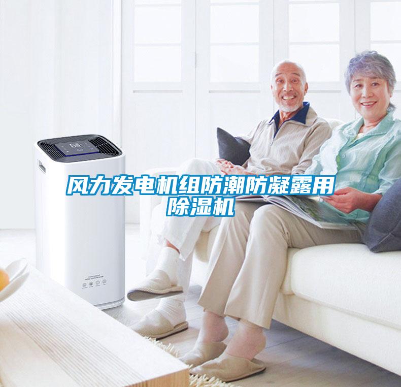 風(fēng)力發(fā)電機組防潮防凝露用除濕機